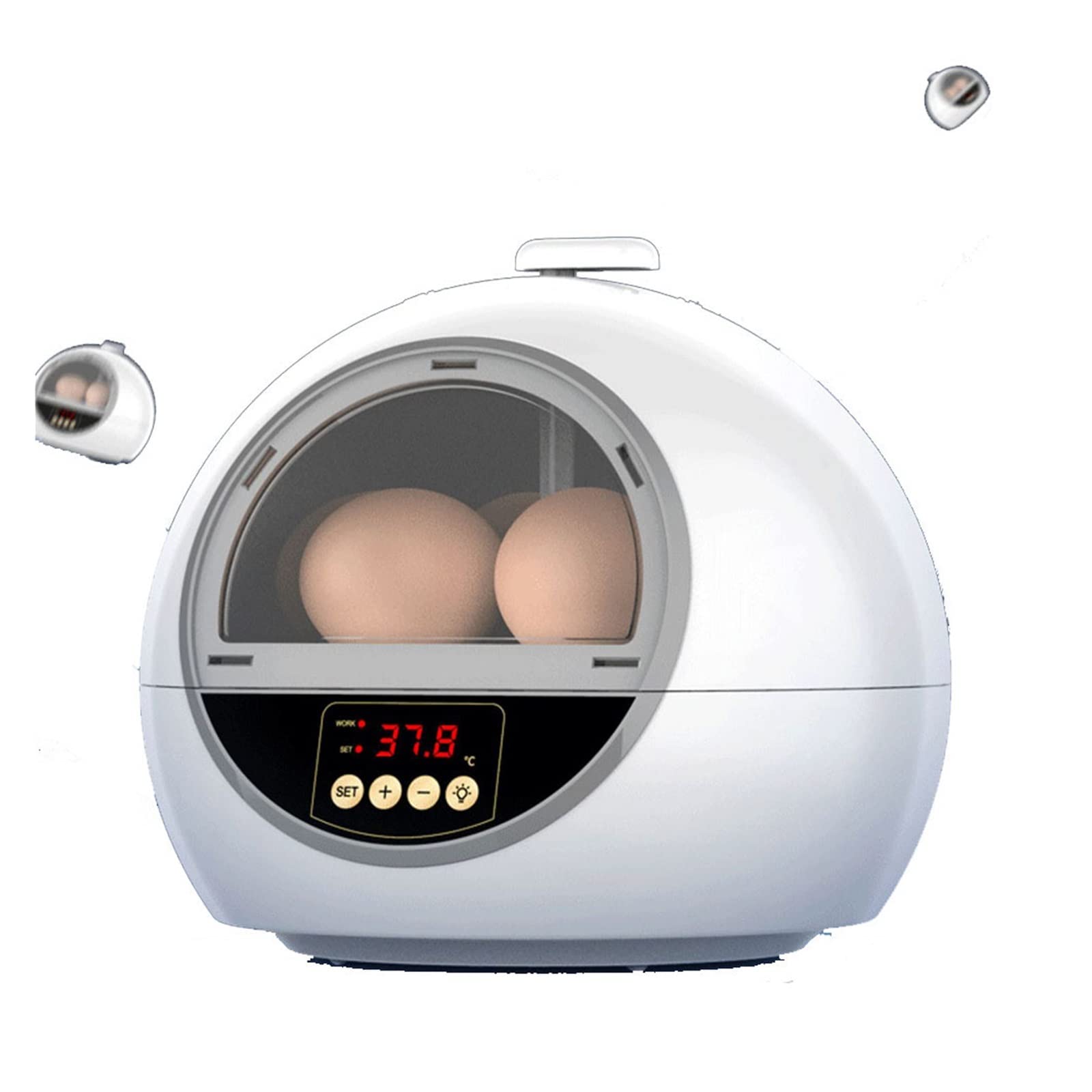 Amazon | 自動孵卵器 孵化器 自動転卵 6 卵鶏鳥インキュベーター卵孵化